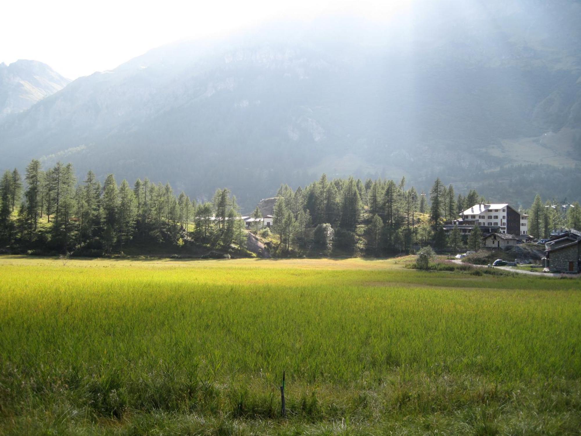 Les Neiges D'antan 4*