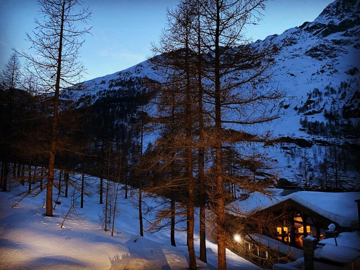 Les Neiges D'antan